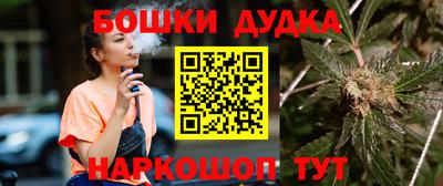 гидра Краснознаменск