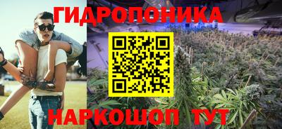 гидра Краснознаменск