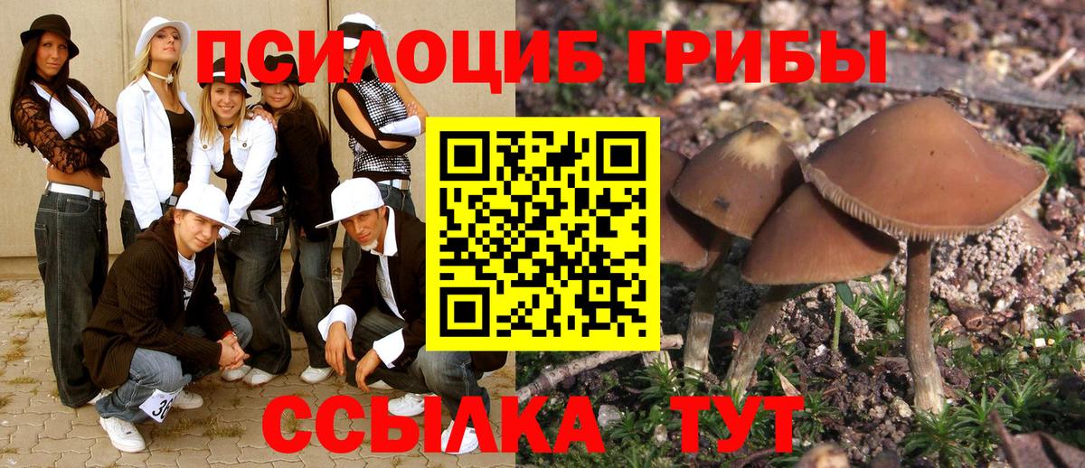 Зеленокумск  магазин продажи наркотиков  Вход с VPN  Псилоцибиновые грибы MAGIC MUSHROOMS 